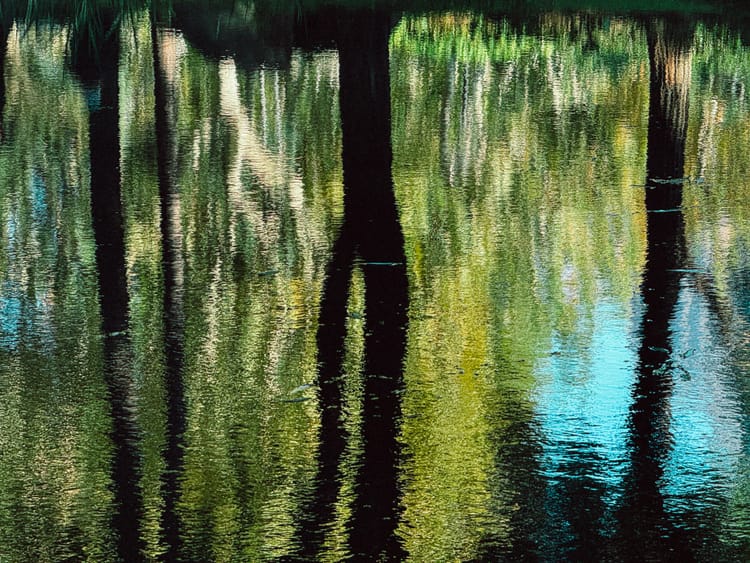 改变人生攻略：从“NPC”变成“玩家”